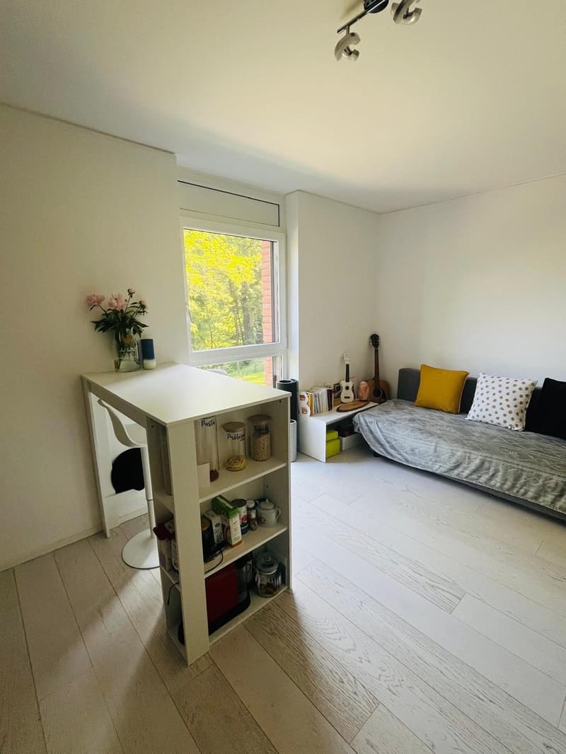 Subentro Appartamento 2 locali a Lugano-Cadro CHF 1'300 TUTTO COMPRESO (5)