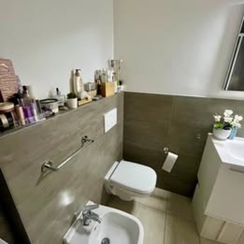 Subentro Appartamento 2 locali a Lugano-Cadro CHF 1'300 TUTTO COMPRESO (10)