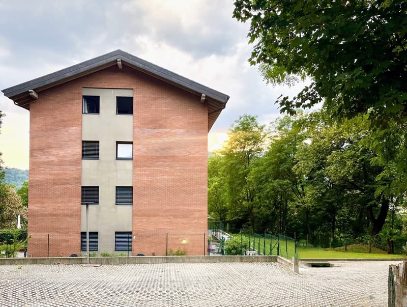 Subentro Appartamento 2 locali a Lugano-Cadro CHF 1'300 TUTTO COMPRESO (11)