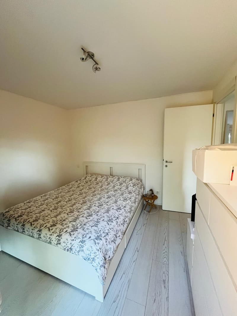 Subentro Appartamento 2 locali a Lugano-Cadro CHF 1'300 TUTTO COMPRESO (8)