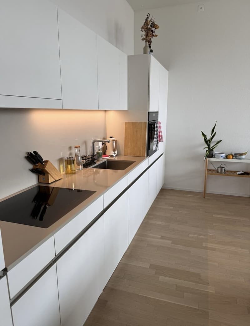 Moderne 3.5-Zimmer-Wohnung mit grosser Loggia in Zürich Oerlikon (1)