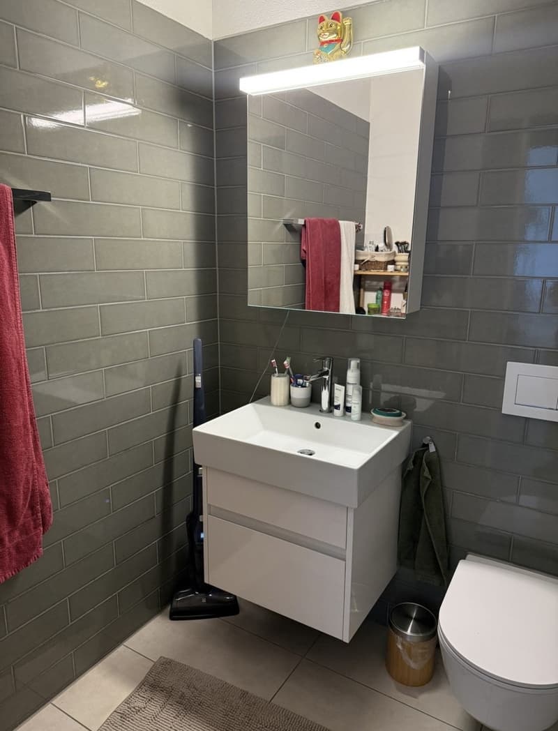 Moderne 3.5-Zimmer-Wohnung mit grosser Loggia in Zürich Oerlikon (5)