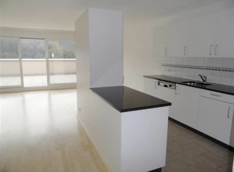 Terrassenwohnung (3)