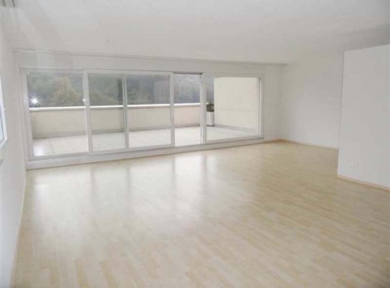 Terrassenwohnung (1)