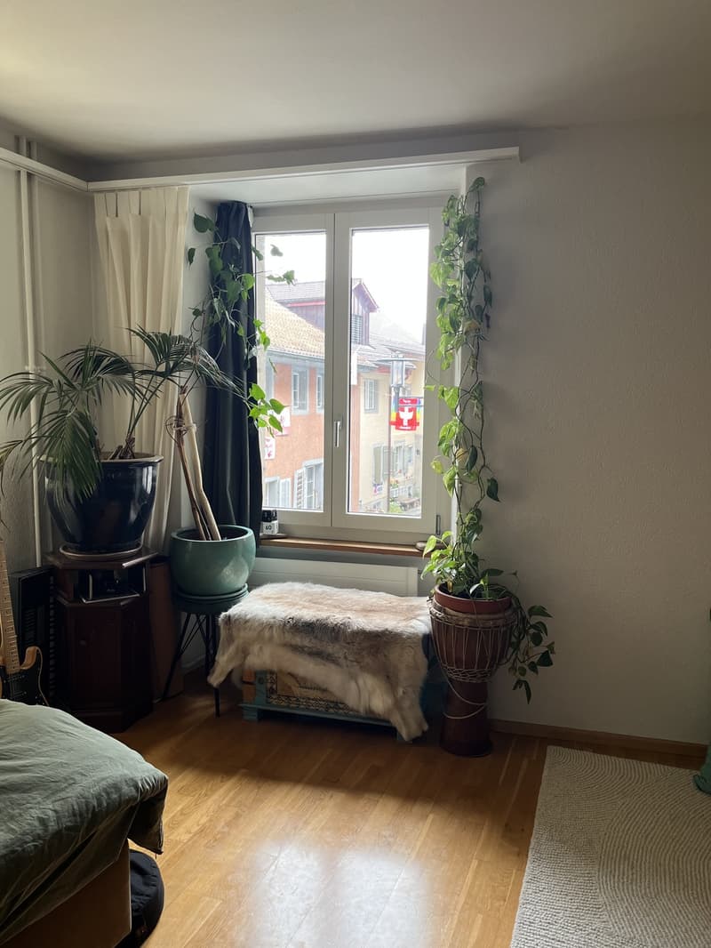 Nachmieter:in gesucht - 2.5 Zimmer Wohnung per 01.11.2026 (6)