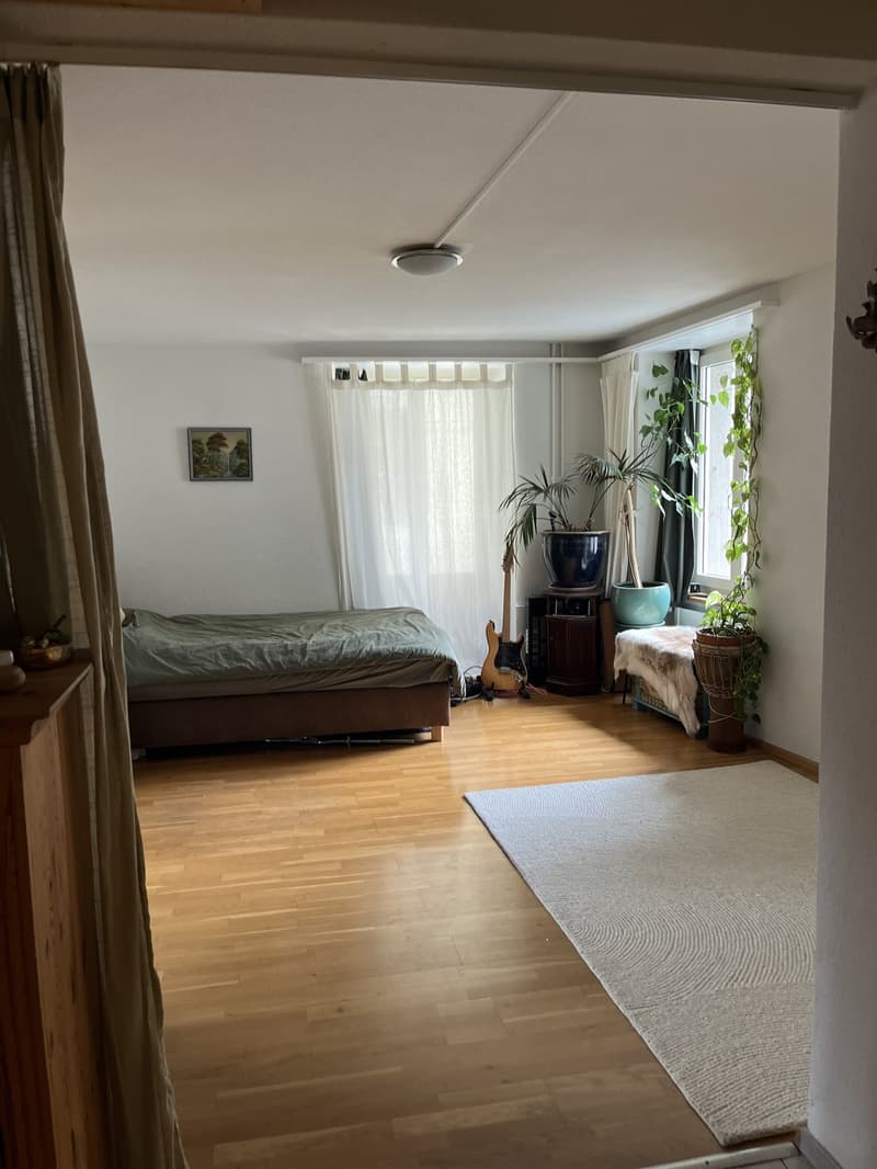 Nachmieter:in gesucht - 2.5 Zimmer Wohnung per 01.11.2026 (1)
