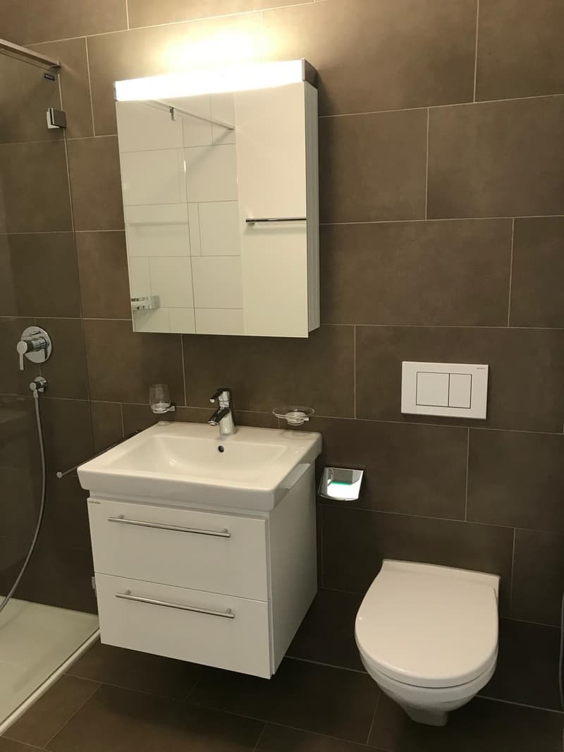 Moderne 4.5-Zimmer-Minergie-Wohnung an zentraler Lage in Baar (9)