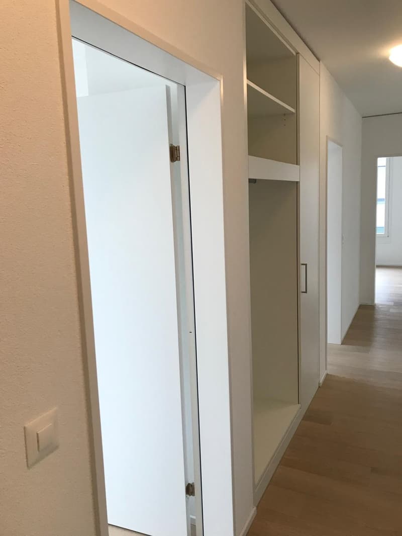 Moderne 4.5-Zimmer-Minergie-Wohnung an zentraler Lage in Baar (1)