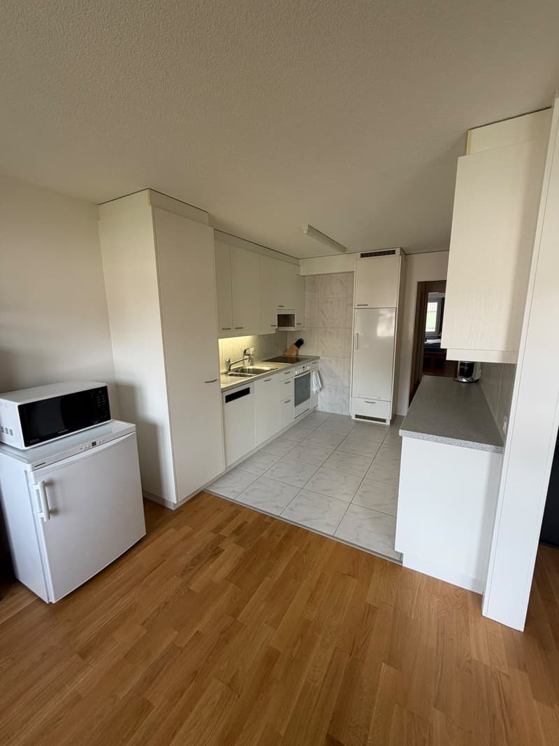 Helle 3.5-Zimmer-Wohnung mit Balkon in Regensdorf (3)