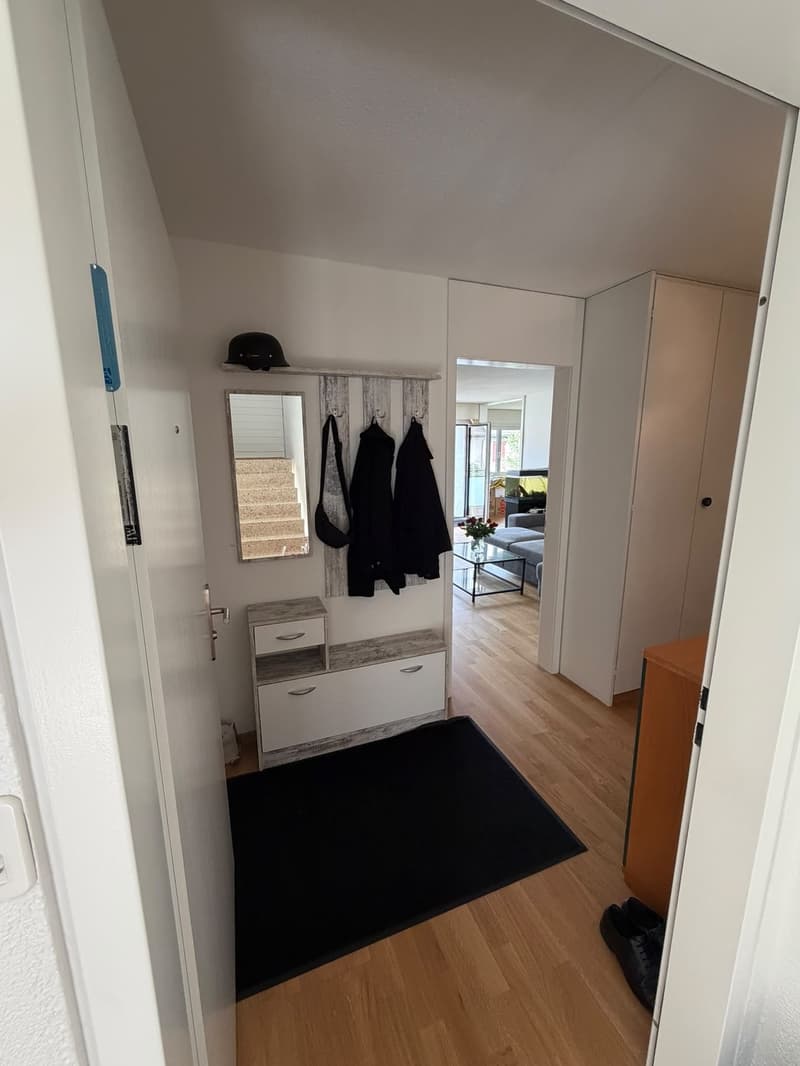 Helle 3.5-Zimmer-Wohnung mit Balkon in Regensdorf (5)