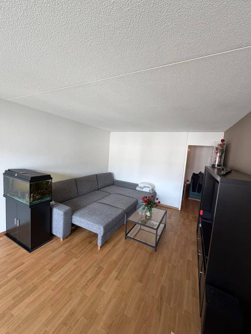 Helle 3.5-Zimmer-Wohnung mit Balkon in Regensdorf (1)
