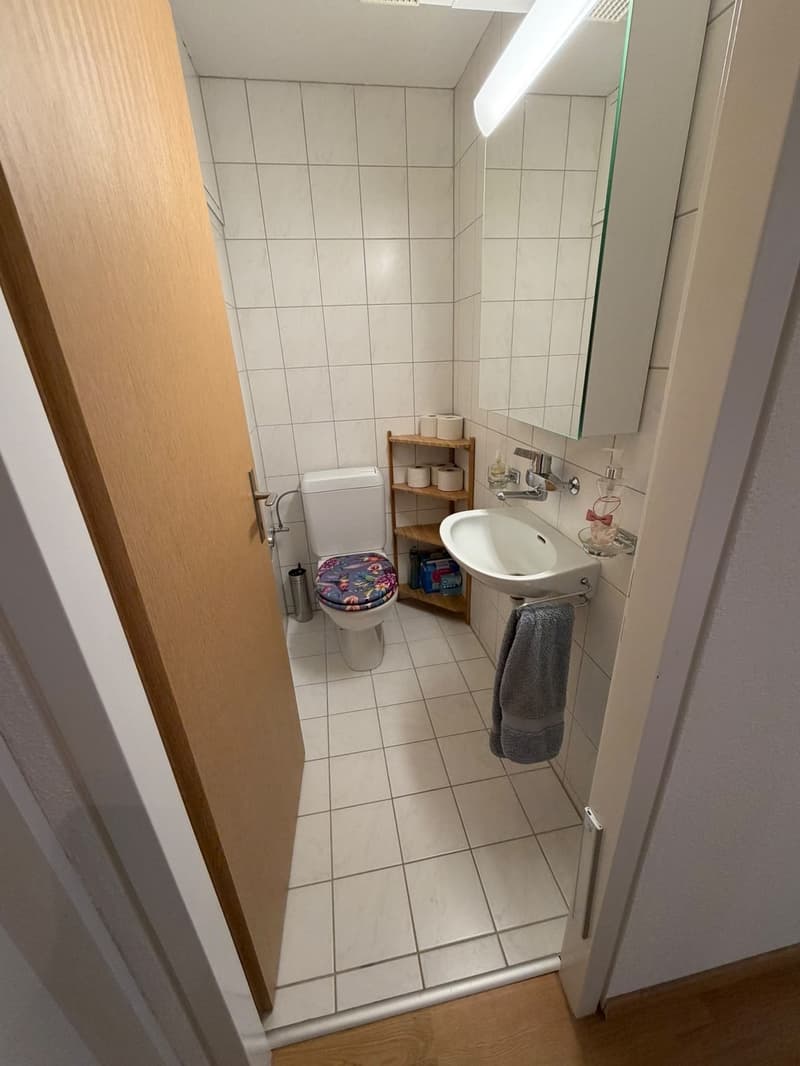 Helle 3.5-Zimmer-Wohnung mit Balkon in Regensdorf (11)