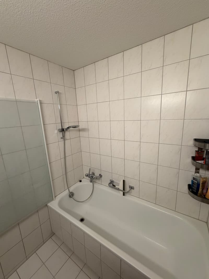 Helle 3.5-Zimmer-Wohnung mit Balkon in Regensdorf (10)