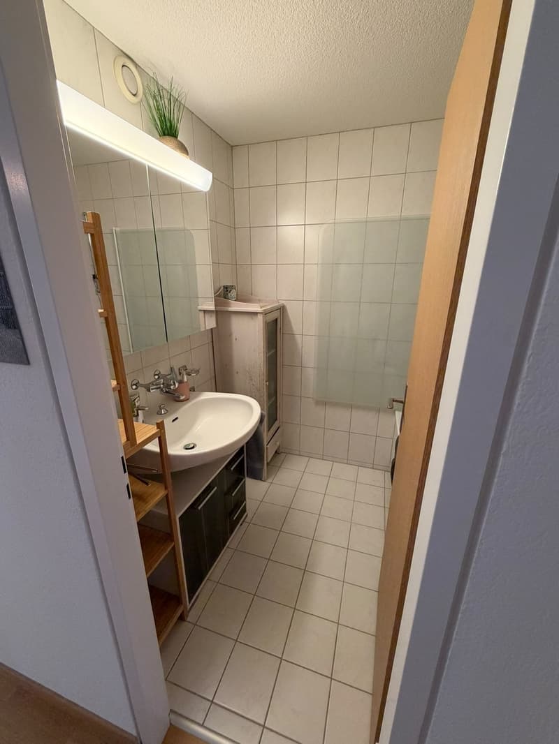 Helle 3.5-Zimmer-Wohnung mit Balkon in Regensdorf (9)