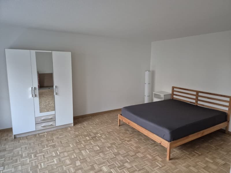 Möbliertes grossräumiges Zimmer in Zürich-Altstetten! (2)