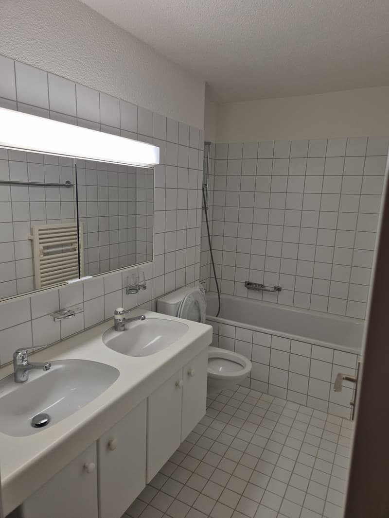 Möbliertes grossräumiges Zimmer in Zürich-Altstetten! (4)
