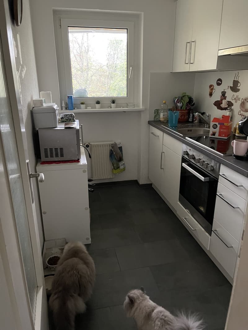 Zu vermieten 2zimmer wohnung (2)