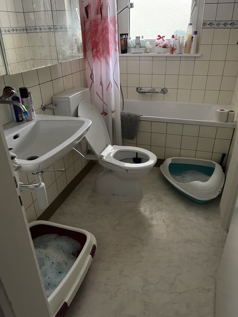 Zu vermieten 2zimmer wohnung (3)