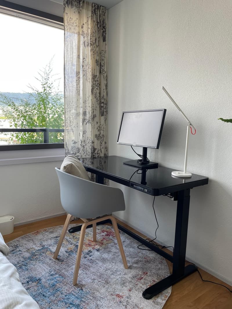 Möbliertes WG-Zimmer mit eigenem Bad (3)