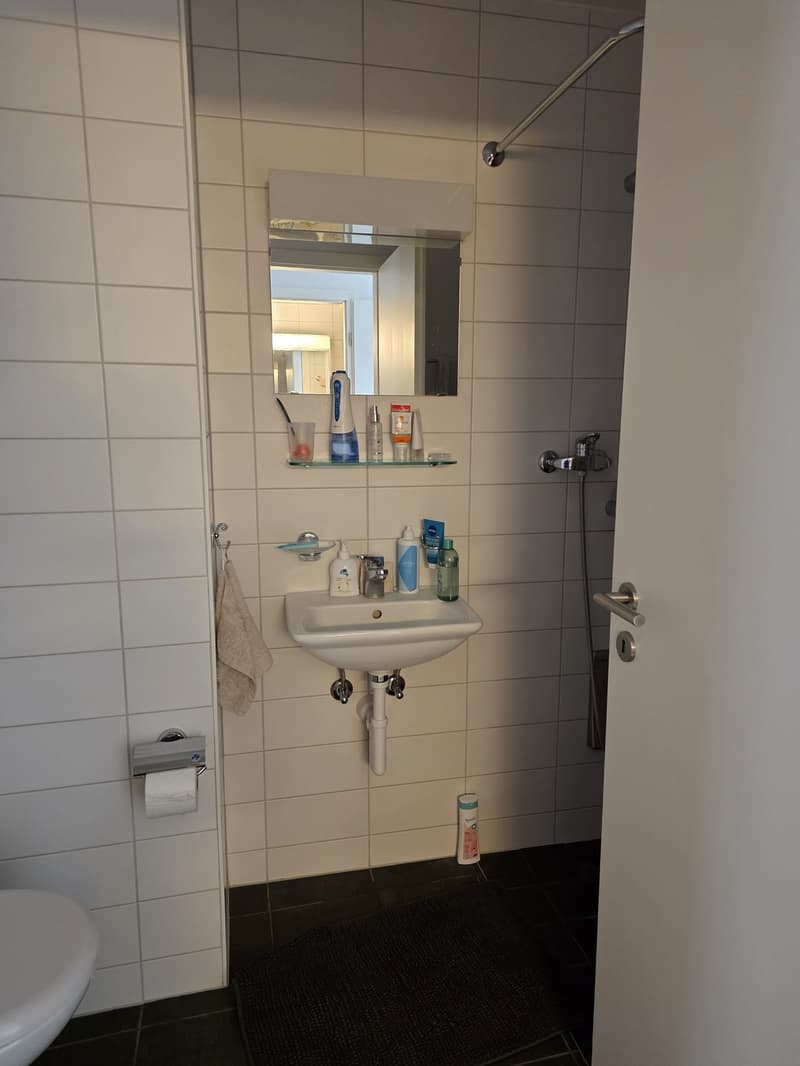 4.5 pièces appartement proche de la gare de Neuchatel (7)