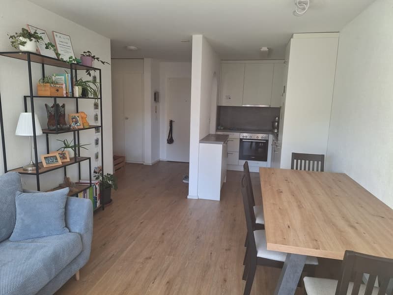 2.5 Zimmer-Wohnung zu vermieten (1)