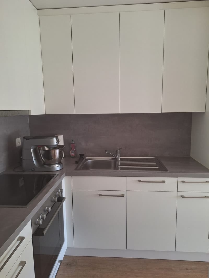 2.5 Zimmer-Wohnung zu vermieten (4)