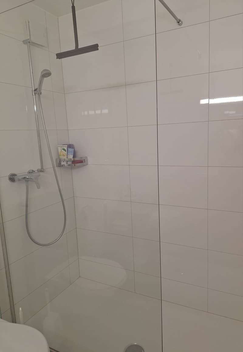 2.5 Zimmer-Wohnung zu vermieten (7)