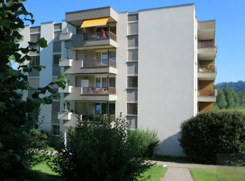 2.5 Zimmer-Wohnung zu vermieten (10)