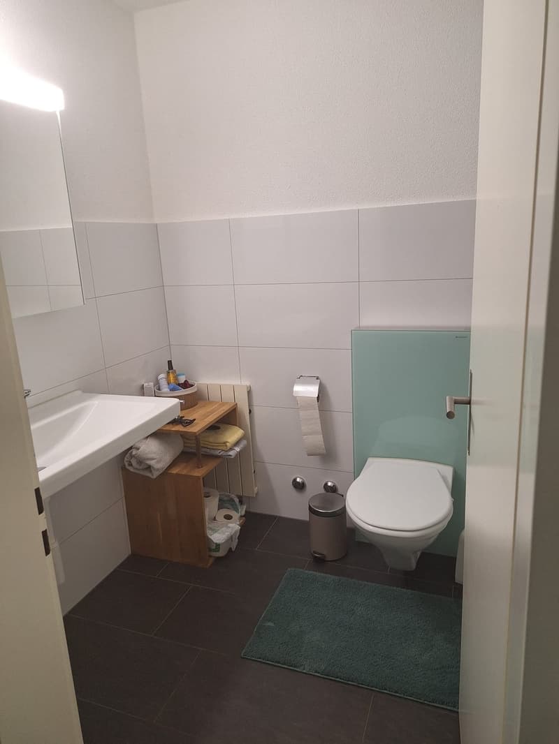 2.5 Zimmer-Wohnung zu vermieten (6)