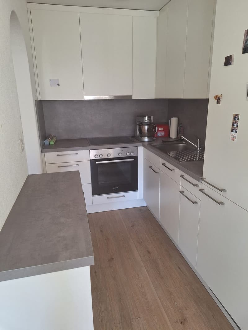 2.5 Zimmer-Wohnung zu vermieten (3)
