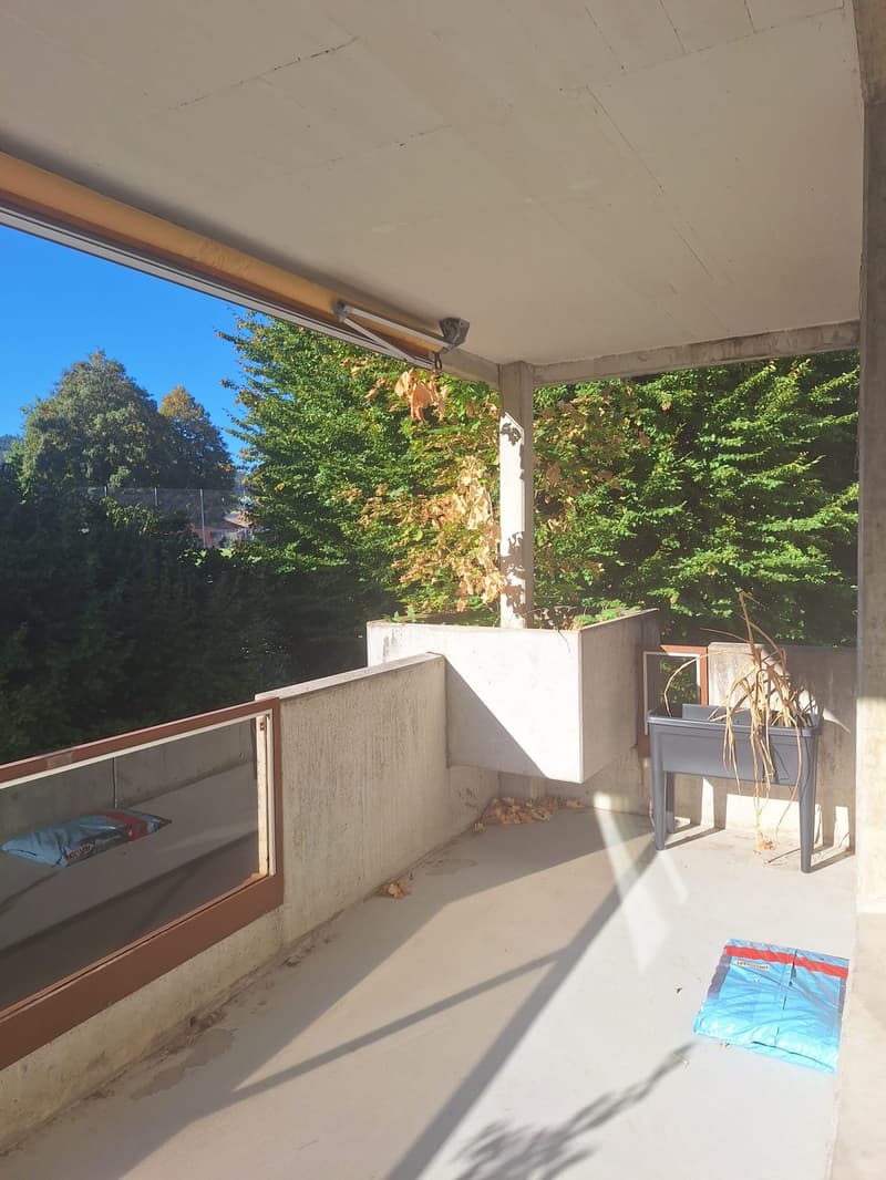 2.5 Zimmer-Wohnung zu vermieten (9)
