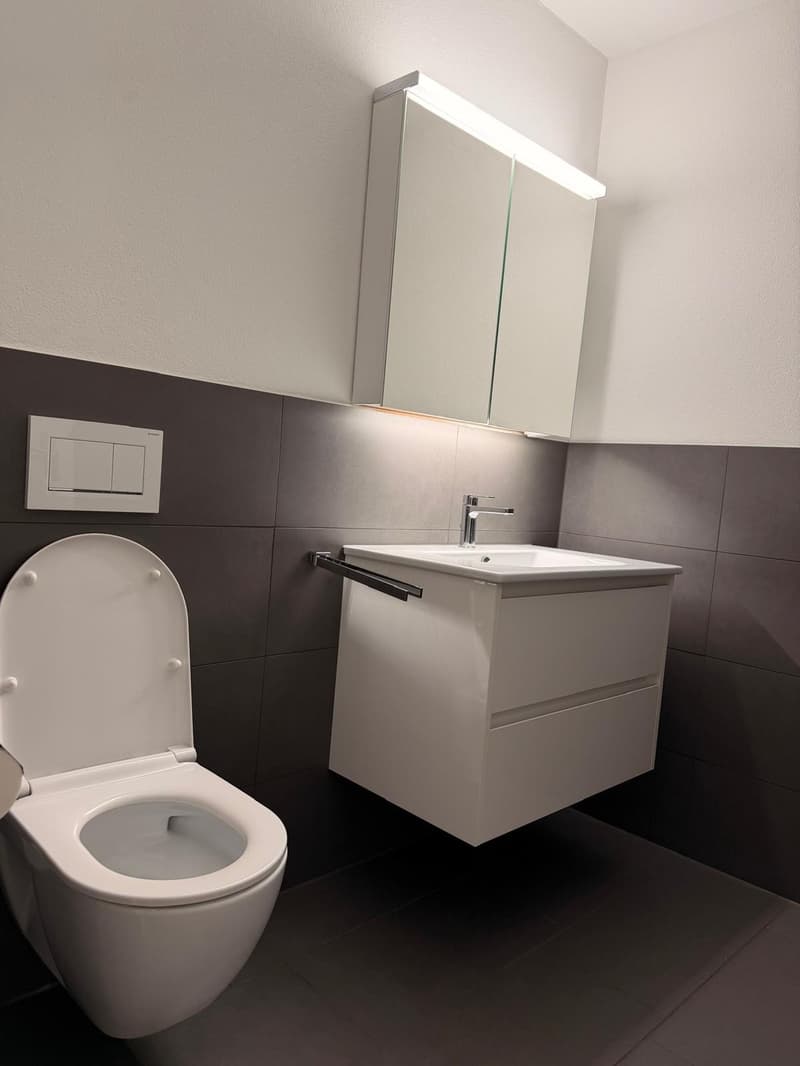 3.5 Zimmer Wohnung in Bassersdorf (9)