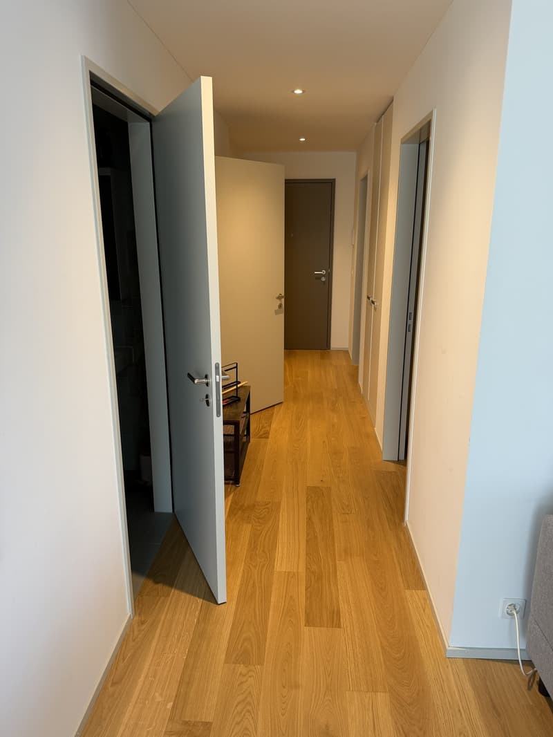 Nachmieter für moderne 3.5 Zimmer Wohnung (1)