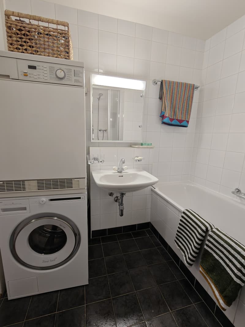 Magnifique appartement 90m² Hypercentre Geneve (4)