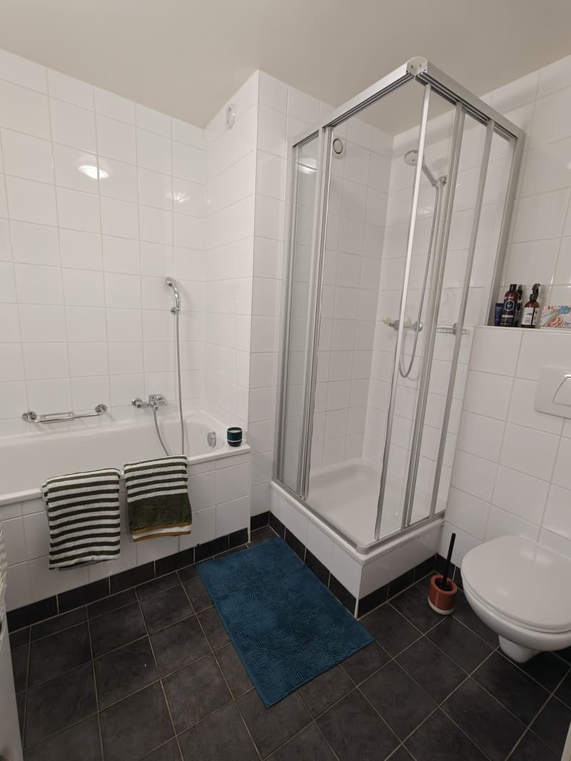 Magnifique appartement 90m² Hypercentre Geneve (5)