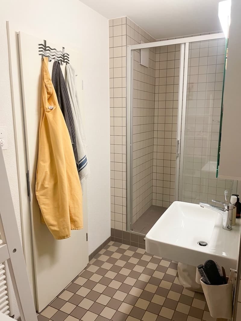 Nachmieter 2Zi. Wohnung bei Dynamo Zürich (5)