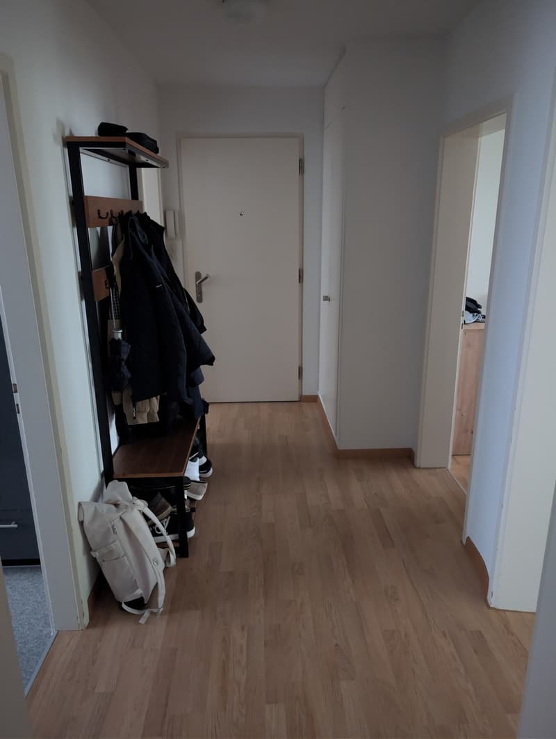 Ruhige 3-Zimmerwohnung in Stadtnähe mit Balkon und Gartenzugang (3)
