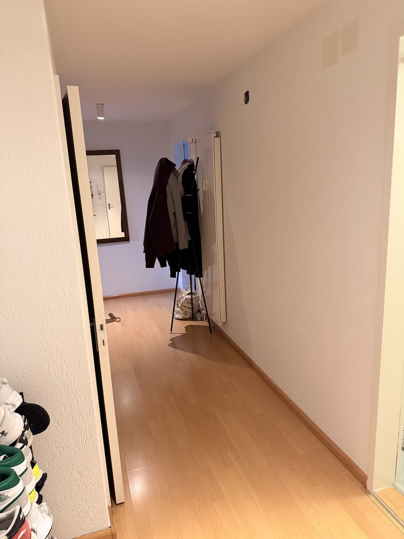 Nachmieter für 3 Zimmer Wohnung / Stedtli in Laufen (2)
