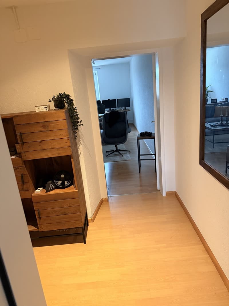 Nachmieter für 3 Zimmer Wohnung / Stedtli in Laufen (4)
