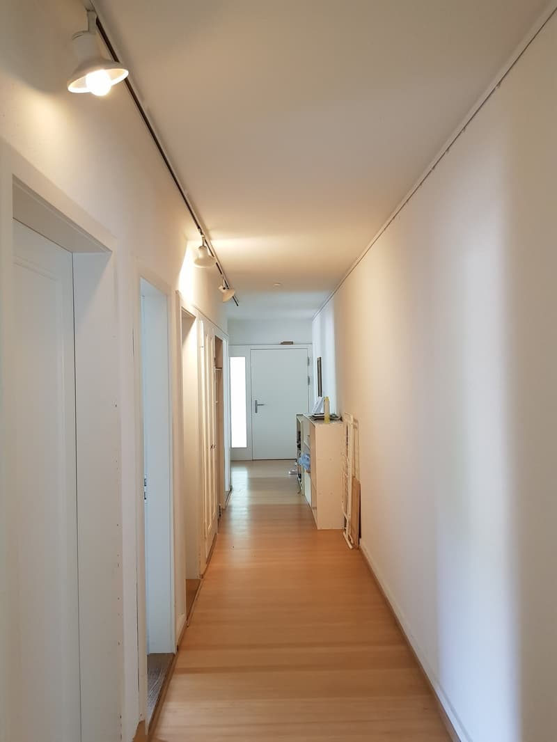 Appartamento 1 locale, 8057 Zurich (4)