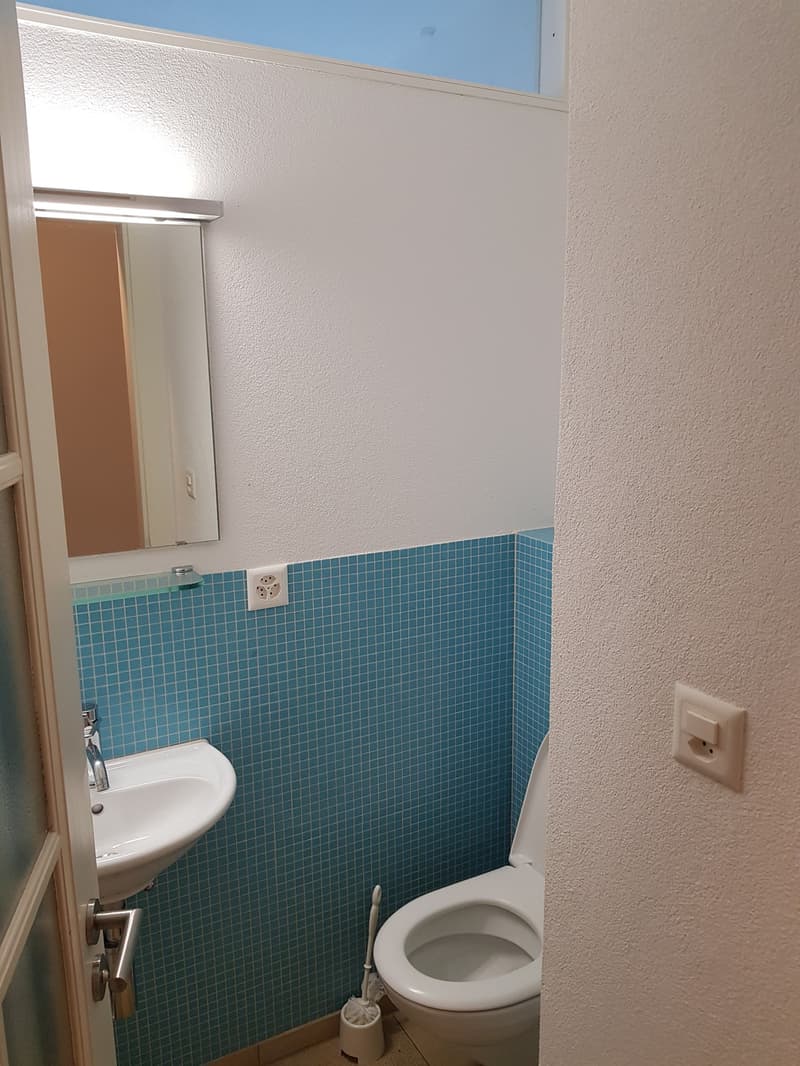 Appartamento 1 locale, 8057 Zurich (9)