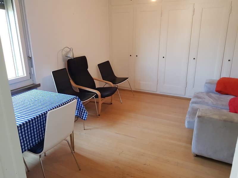 Appartamento 1 locale, 8057 Zurich (8)