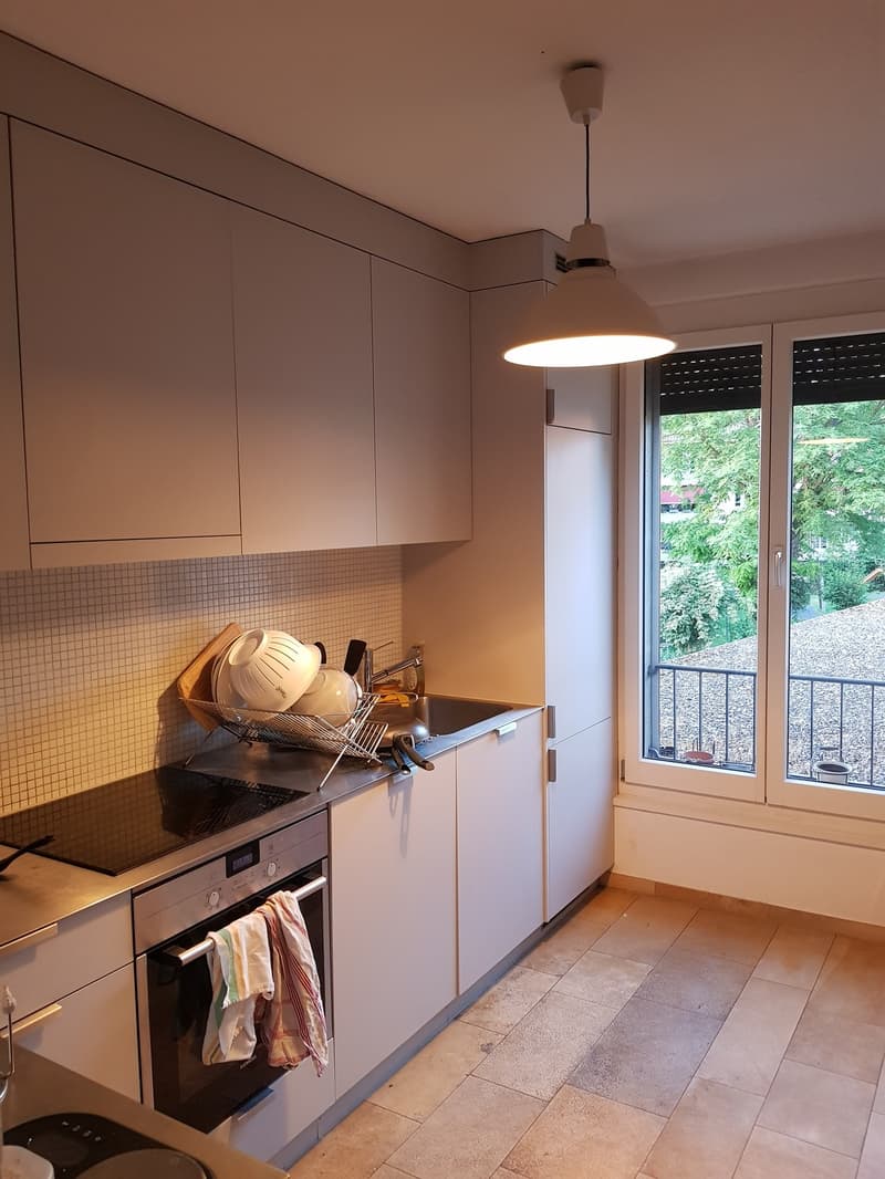 Appartamento 1 locale, 8057 Zurich (5)