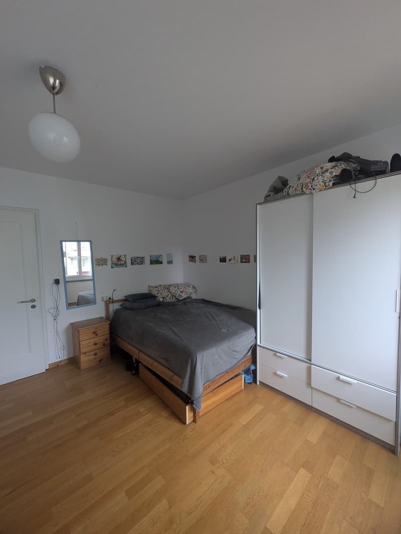 Appartamento 1 locale, 8057 Zurich (3)