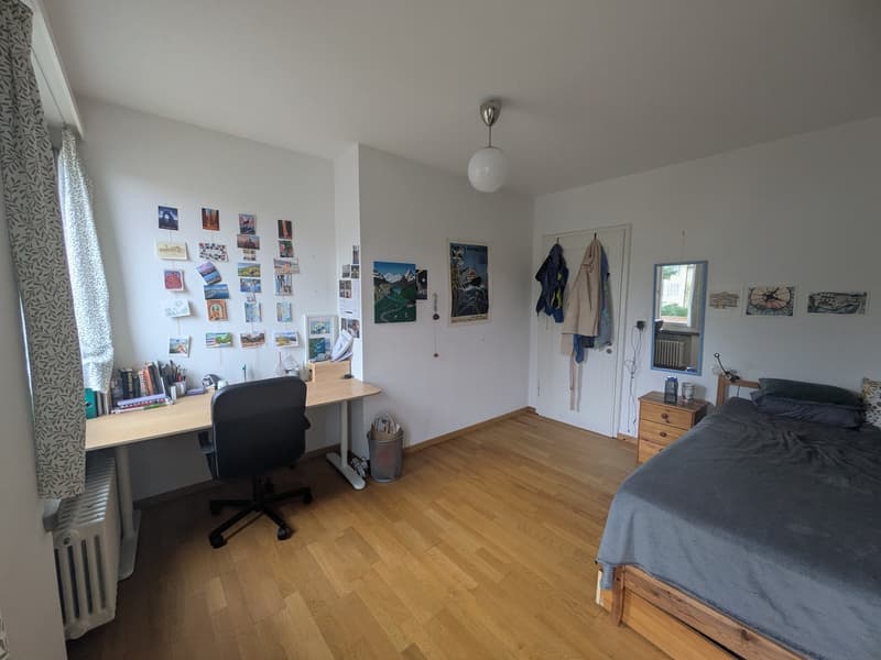 Appartamento 1 locale, 8057 Zurich (2)