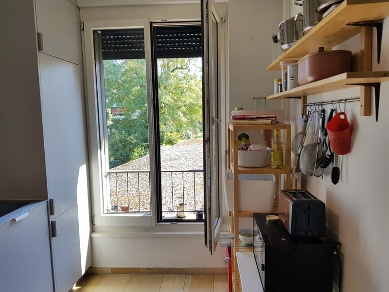 Appartamento 1 locale, 8057 Zurich (6)