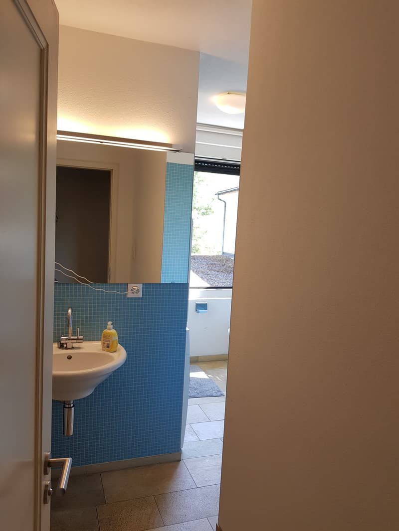 Appartamento 1 locale, 8057 Zurich (10)