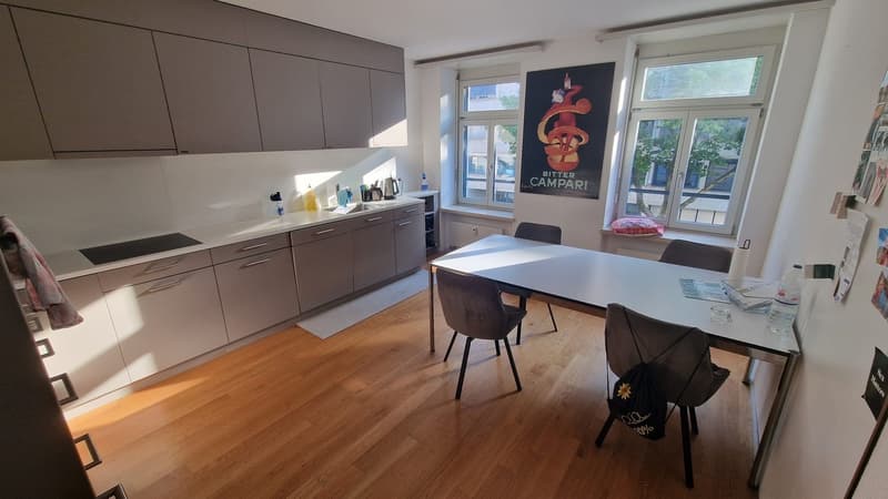 Helles WG-Zimmer beim Limmatplatz zentrale Lage (5)