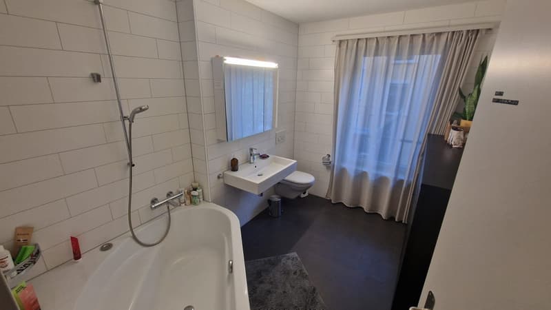 Helles WG-Zimmer beim Limmatplatz zentrale Lage (4)