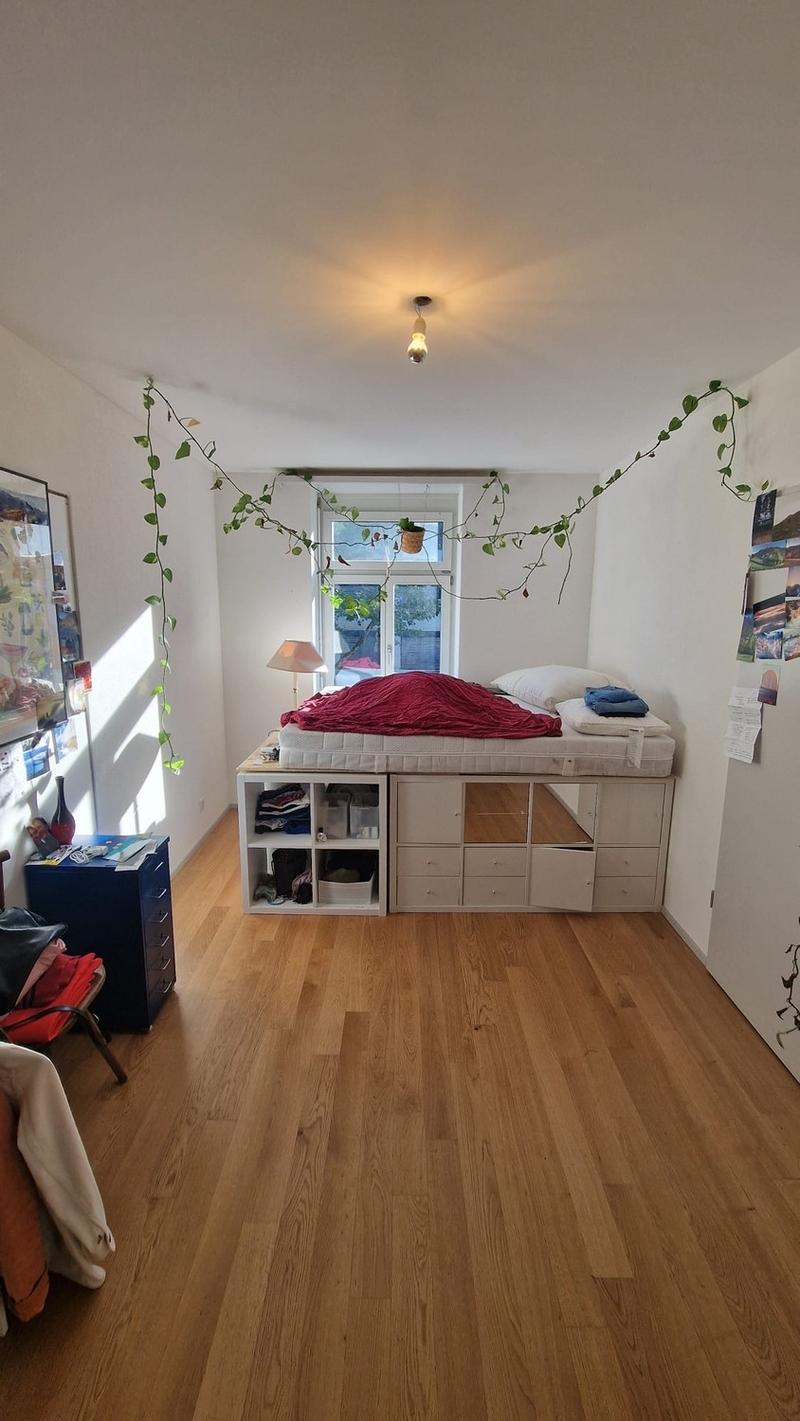 Helles WG-Zimmer beim Limmatplatz  zentrale Lage (3)